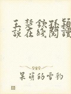 王楚钦孙颖莎小说在线阅读