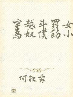 穿越斗罗女人变为奴仆的小说