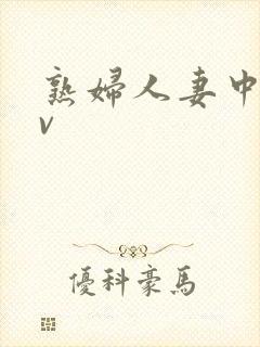 熟妇人妻中文av