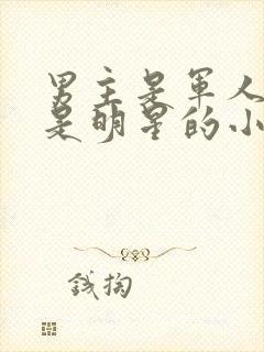 男主是军人女主是明星的小说