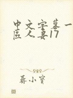 中文字幕一区二区人妻17