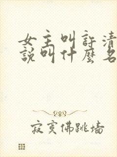 女主叫许清的小说叫什么名字封面