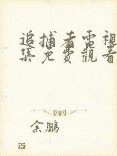 追捕者电视剧全集免费观看完整版