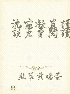 沈宛凝肖槿辰小说免费阅读全文