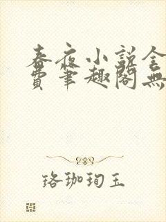 春夜小说全文免费笔趣阁无弹窗