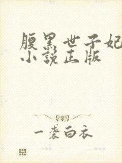 腹黑世子妃日常小说正版