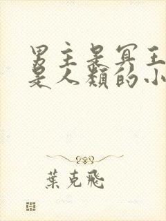 男主是冥王女主是人类的小说封面