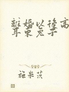 离婚以后高干 耳东兔子封面