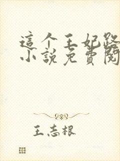 这个王妃路子野小说免费阅读封面