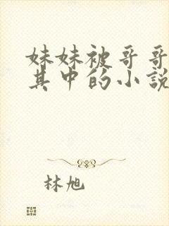 妹妹被哥哥插入其中的小说