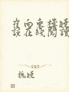 崔向东楼晓雅小说在线阅读官路扶摇封面