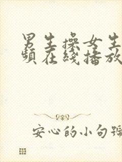 男生操女生的视频在线播放