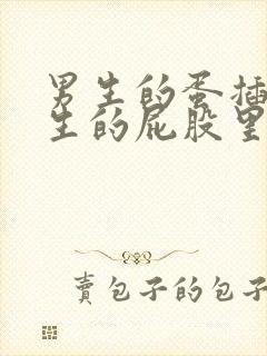 男生的蛋插进男生的屁股里