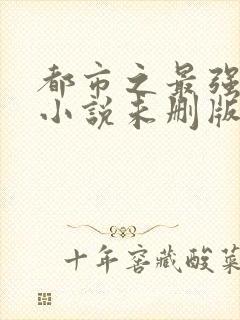 都市之最强狂兵小说未删版完整