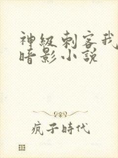 神级刺客我即是暗影小说