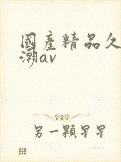 国产精品久久高潮av