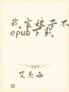 我家娘子不对劲epub下载封面