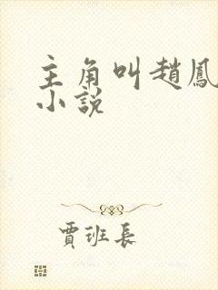 主角叫赵凤生的小说