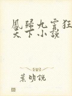 凤归九霄狂妃逆天下小说封面