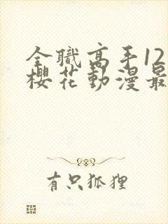 全职高手12季樱花动漫最新更新内容