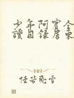少年阿宾全文阅读目录房东