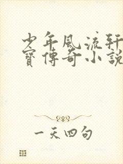 少年风流轩辕大宝传奇小说