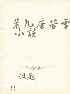 叶凡唐若雪医婿 小说