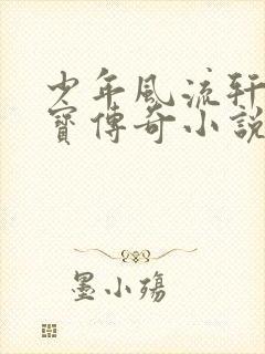 少年风流轩辕大宝传奇小说