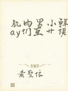 肌肉男小鲜肉gay们互艹视频