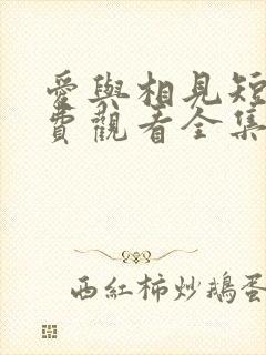 爱与相见短剧免费观看全集高清版封面