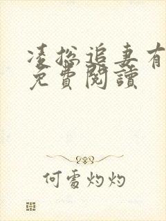 凌总追妻有点甜免费阅读