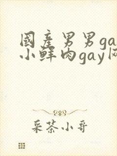 国产男男gay小鲜肉gay网站亚洲
