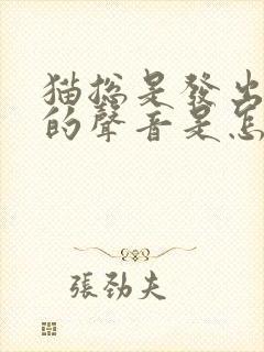 猫总是发出咕噜的声音是怎么回事