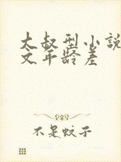 大叔型小说甜宠文年龄差