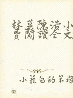 林蔓陈浩小说免费阅读全文最新章节