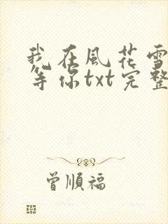我在风花雪月里等你txt完整版