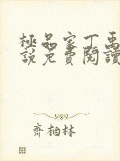 极品家丁禹岩小说免费阅读全文无删减