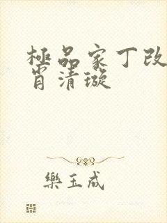 极品家丁改编之肖清璇封面