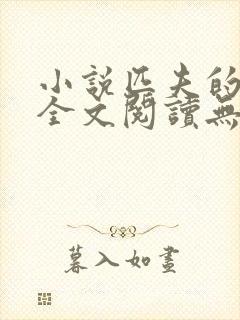 小说匹夫的逆袭全文阅读无弹窗