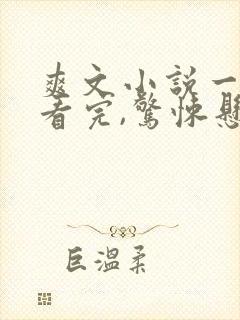 爽文小说一口气看完,惊悚悬疑恐怖