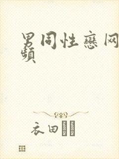 男同性恋网站视频