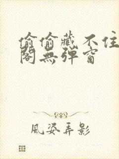 偷偷藏不住笔趣阁无弹窗