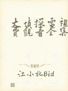 大侦探电视剧免费观看全集完整版