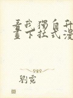 看我独自升级漫画下拉式漫画封面