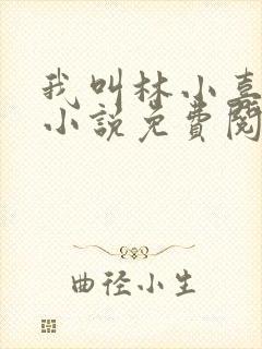 我叫林小喜全文小说免费阅读封面