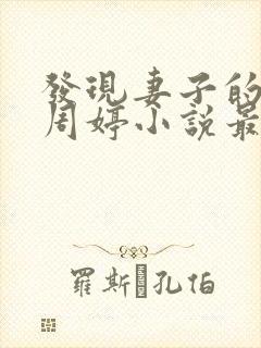 发现妻子的秘密周婷小说最新章节更封面