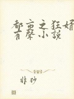 都市之狂婿战神有声小说