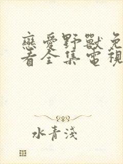 恋爱野兽免费观看全集电视剧高清封面