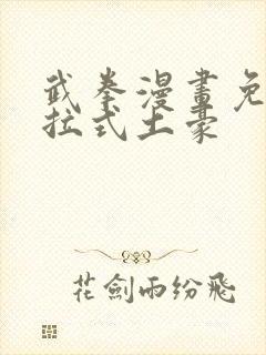 武拳漫画免费下拉式土豪