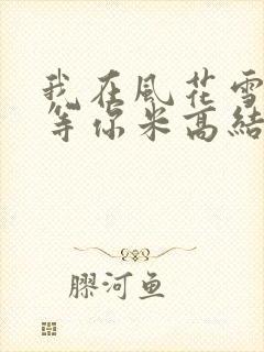 我在风花雪月里等你米高结局封面